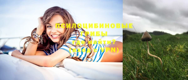 эйфоретик Медногорск