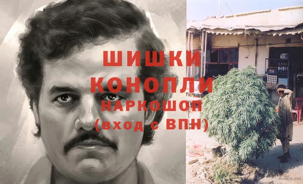 прущие крисы Медвежьегорск