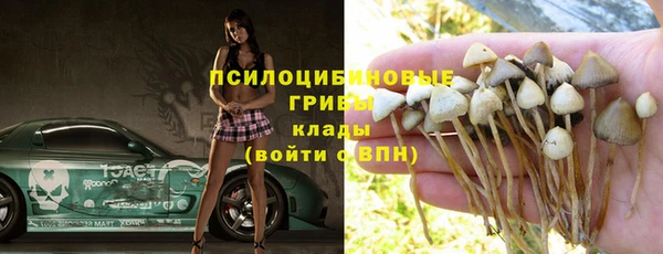 гидропоника Мегион