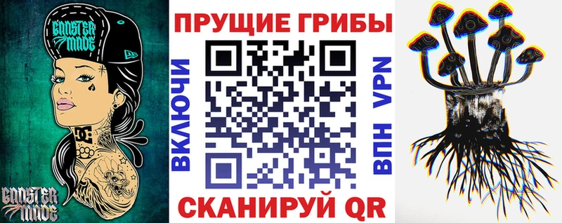 OMG   Новотроицк  Галлюциногенные грибы Cubensis 
